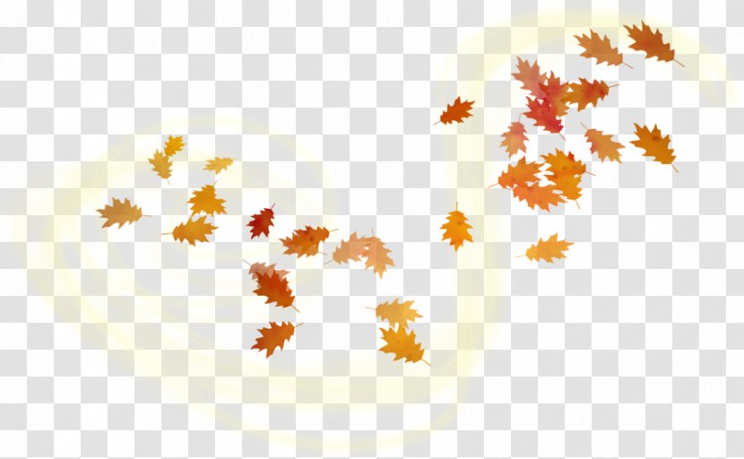 Maple Leaf Adobe Photoshop Autumn - Text Transparent PNG