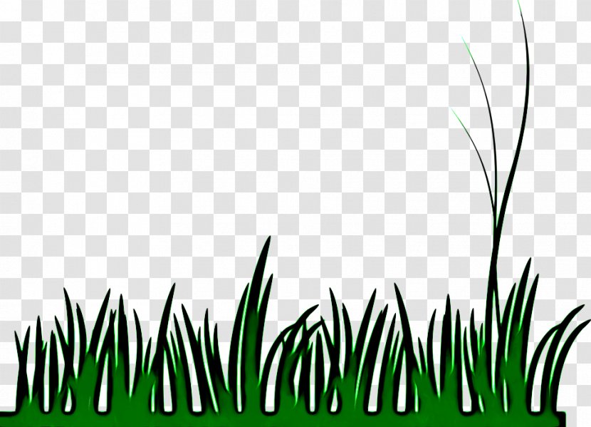 Grass Green Vegetation Plant Leaf - Terrestrial Family Transparent PNG