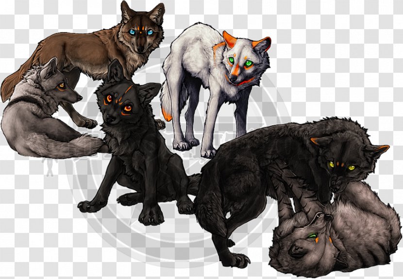 Gray Wolf Wolfpack Art Cat - Lone Transparent PNG