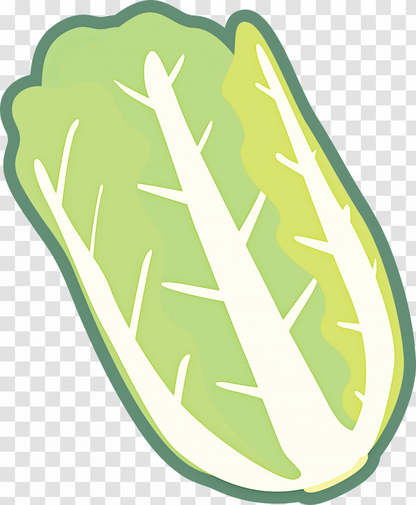 Nappa Cabbage Transparent PNG