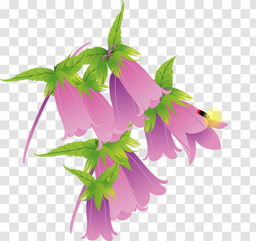 Spotted Bellflower Firefly Family Plant - Violet Transparent PNG