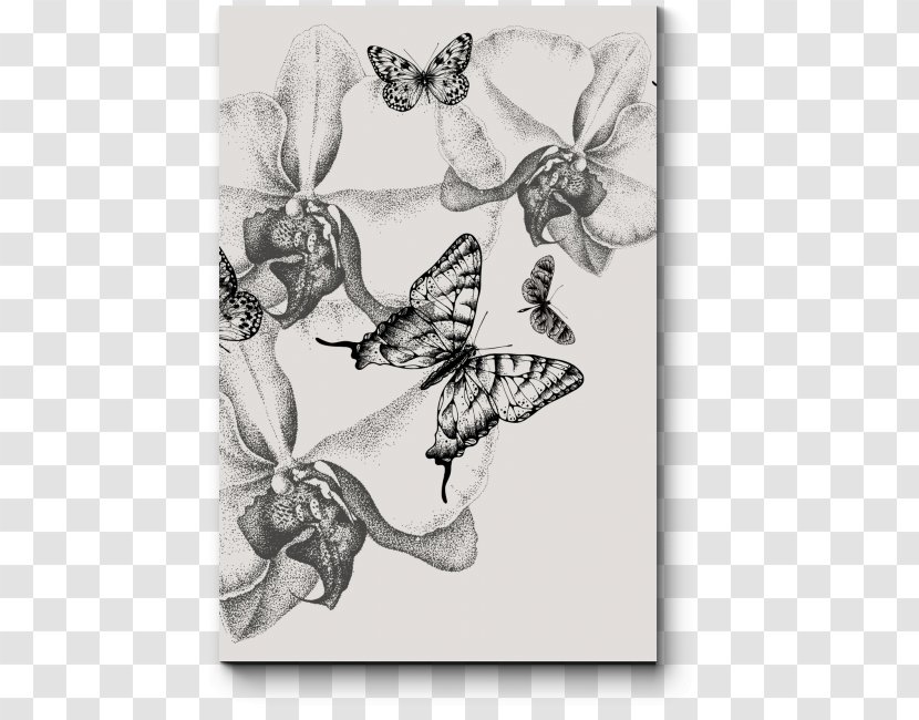 Butterfly Drawing Orchids Ophrys Insectifera - Monochrome Transparent PNG