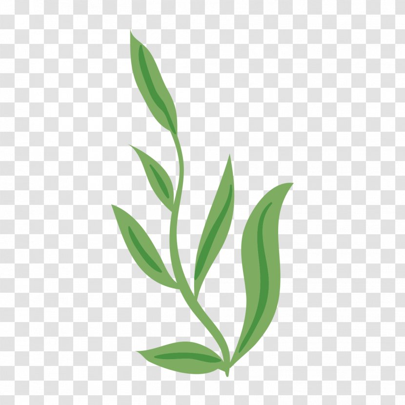 Image Adobe Photoshop Leaf Green - Grass Family - Plants Transparent PNG