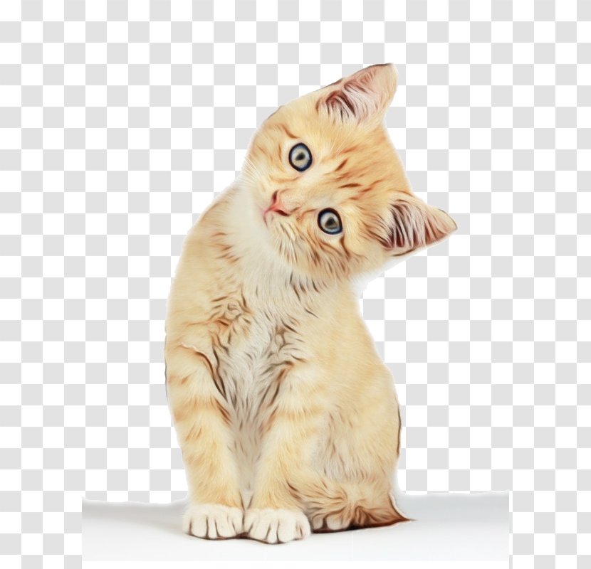 Hello Kitty Cartoon - British Semilonghair Norwegian Forest Cat Transparent PNG