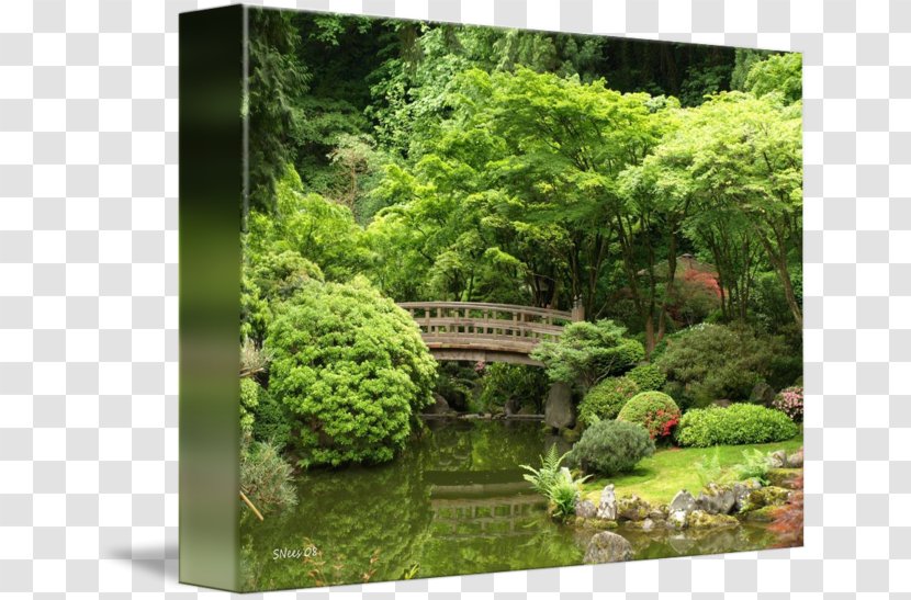 Portland Japanese Garden Fine Art - Photography - Landscape Transparent PNG