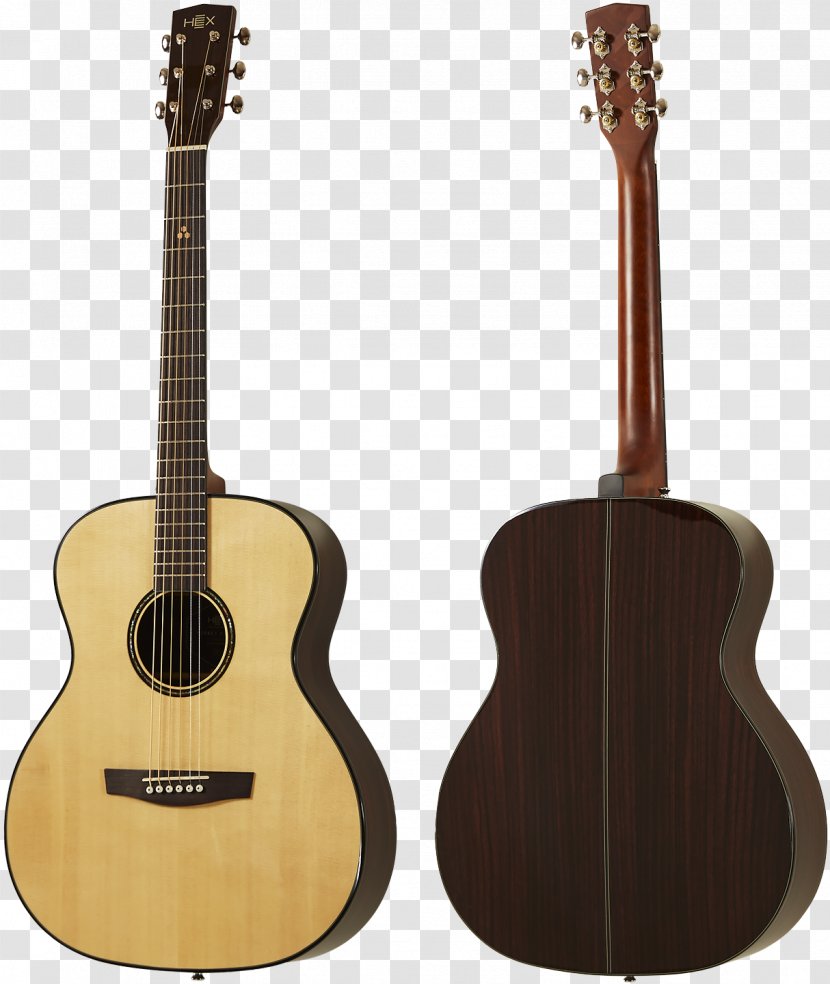 Yamaha C40 Classical Guitar Steel-string Acoustic Corporation - Flower - Gig Transparent PNG
