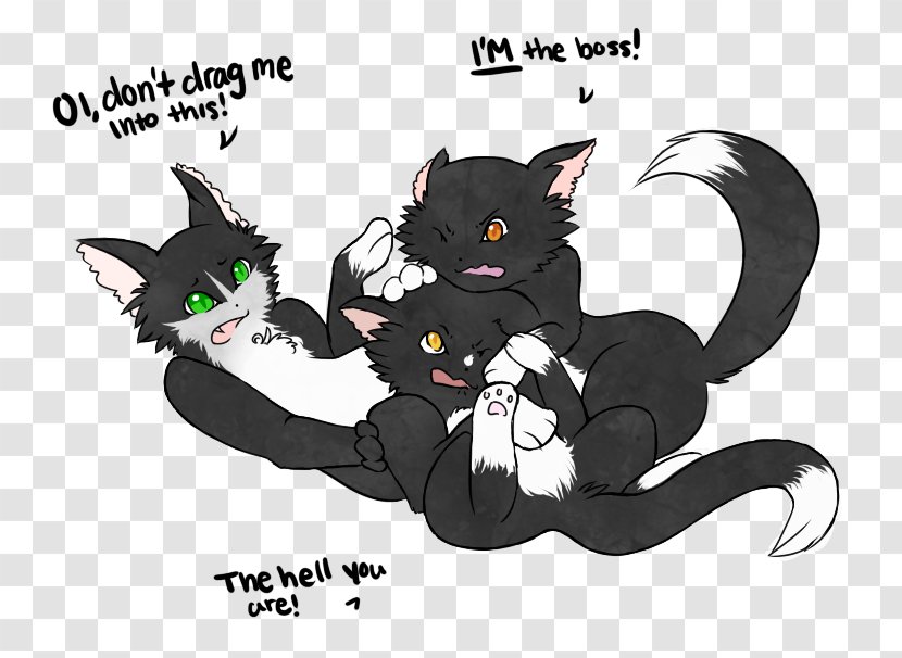 Black Cat Kitten Whiskers Paw - Fictional Character Transparent PNG
