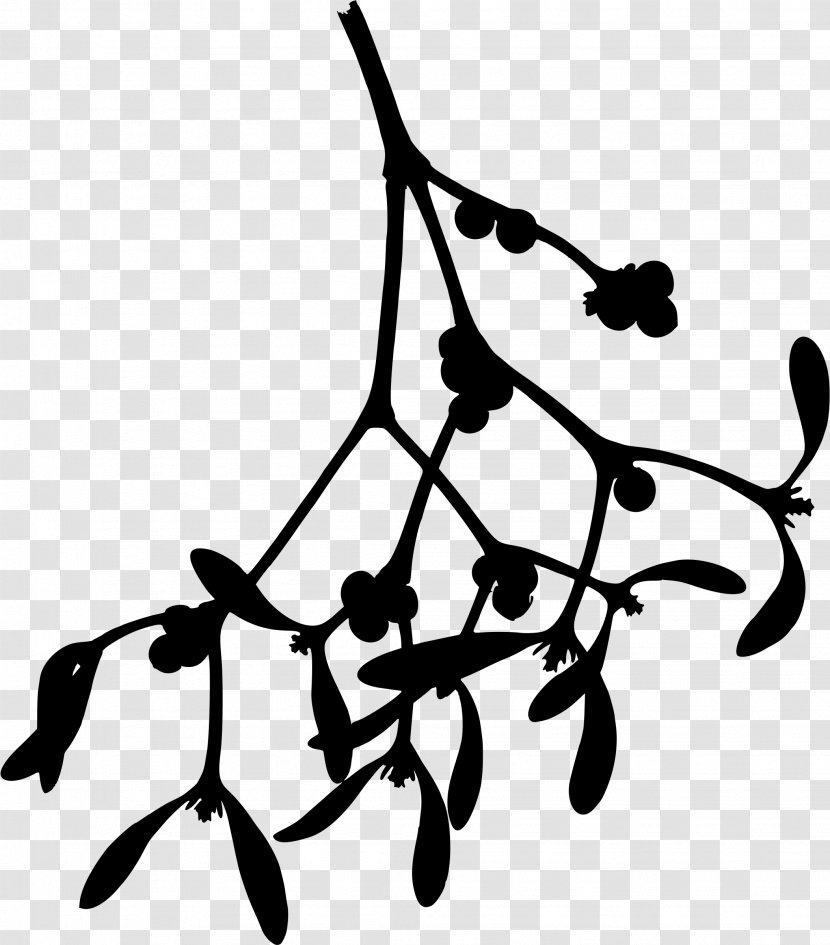 Mistletoe Drawing Phoradendron Tomentosum Clip Art - Branch - Chimney Transparent PNG