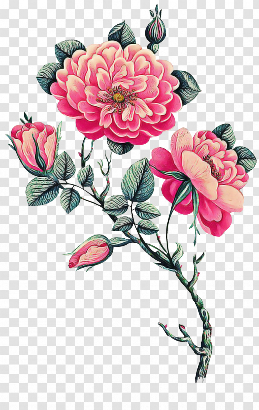 Floral Design Transparent PNG