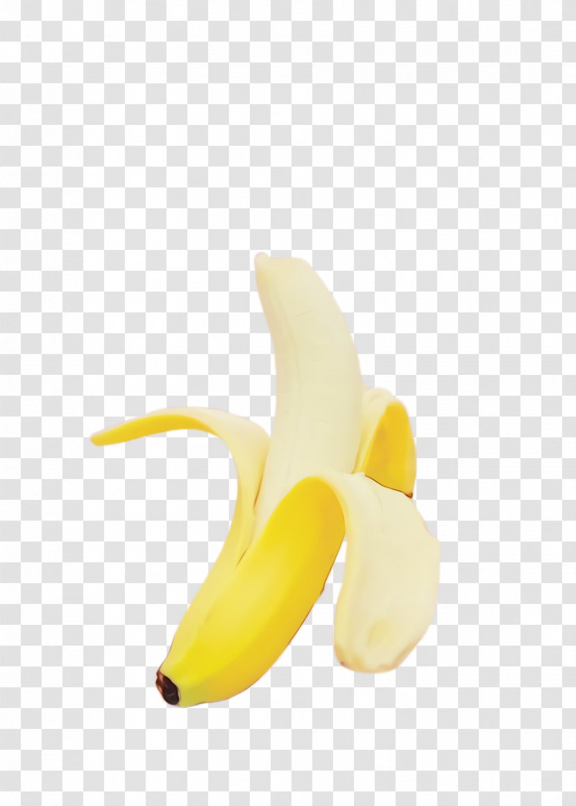 Banana Family Yellow Plant Fruit - Arum Food Transparent PNG