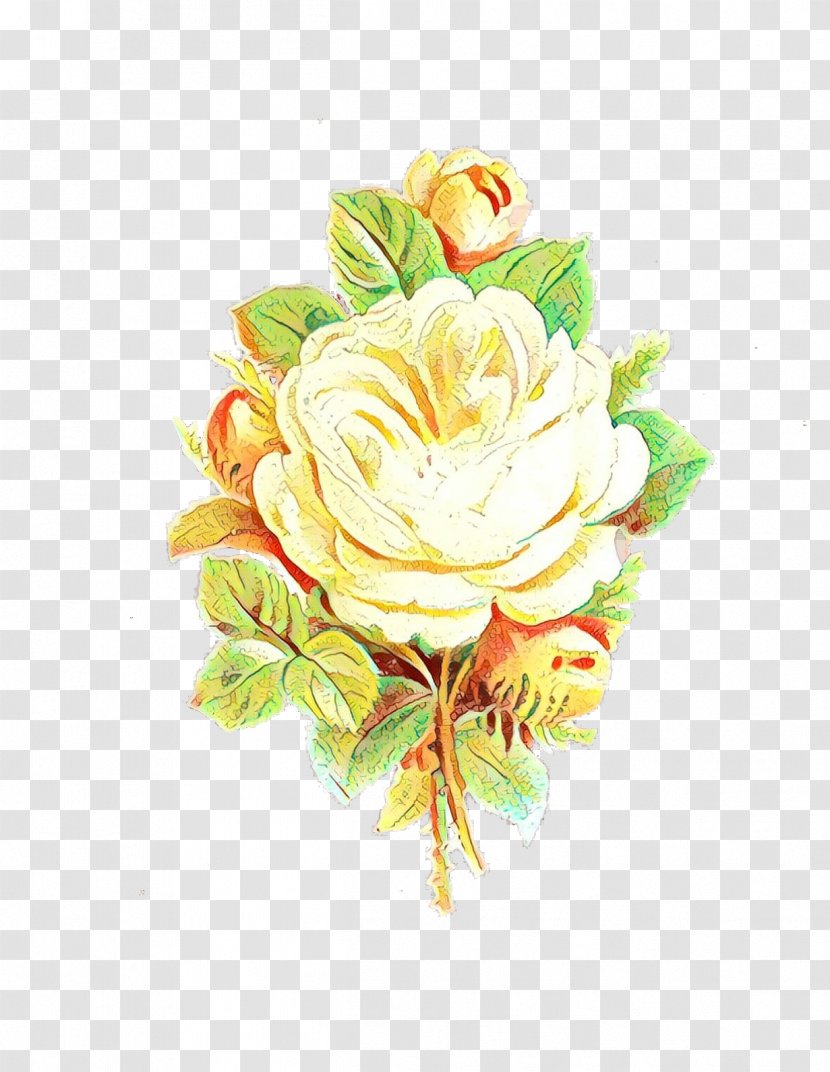 Watercolor Flower Background - Rose Family - Austrian Briar Floribunda Transparent PNG