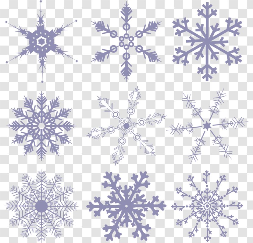 Flower Shutterstock Stock Illustration Floral Design - Beautiful Snow Falling Portfolio Transparent PNG
