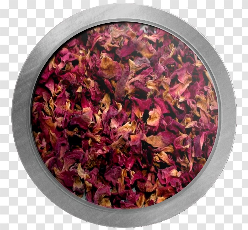 Flowering Tea Petal Organic Food Herb - Edible Flower Transparent PNG