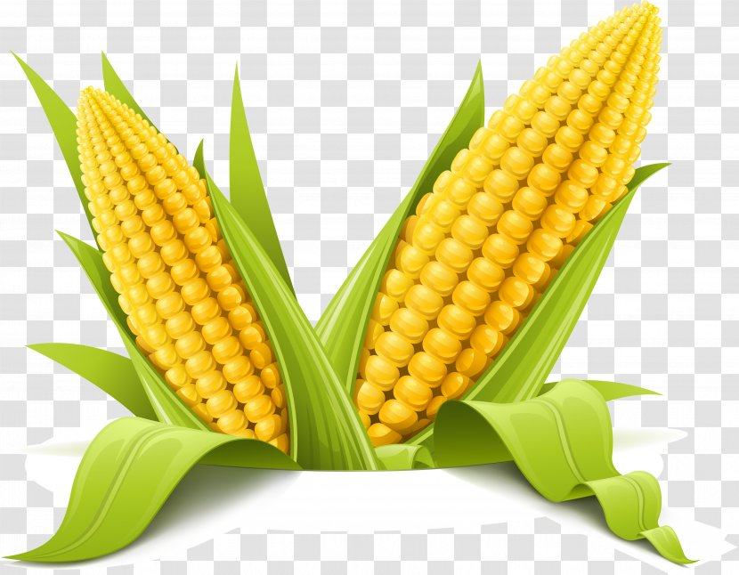 Corn On The Cob Maize Corncob Clip Art - Food - Ear Transparent PNG