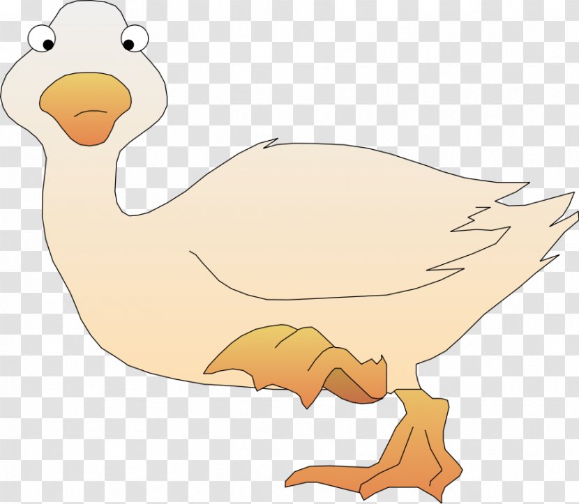 Duck Bird Cartoon Clip Art - Poultry Transparent PNG