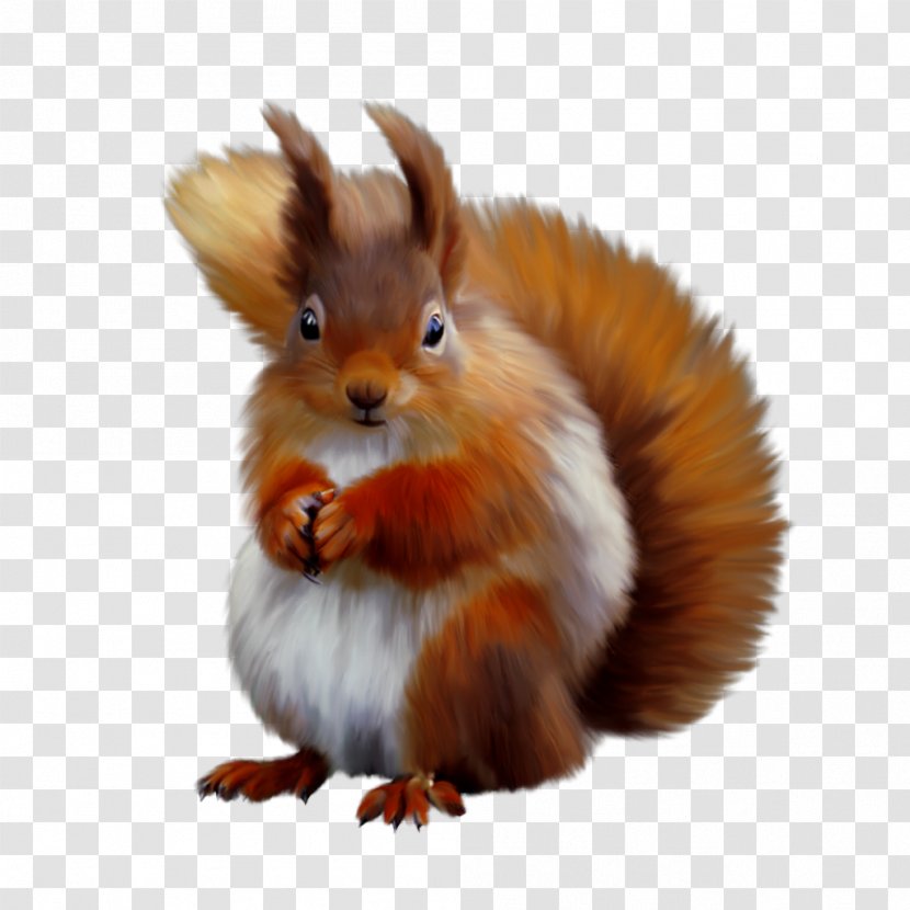 Squirrel Clip Art Image JPEG - Tree Transparent PNG