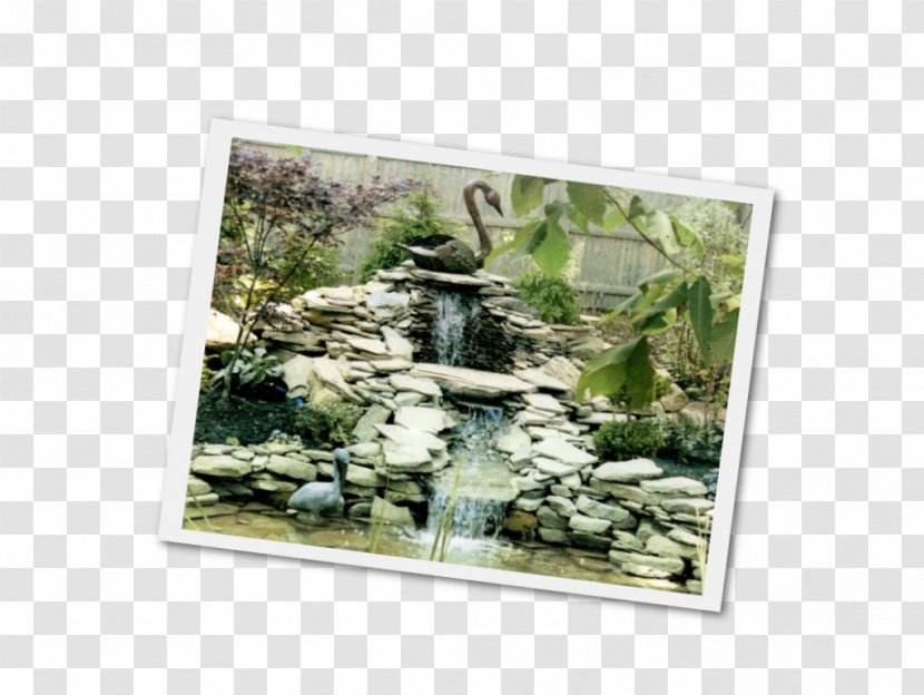 Brookside Gardens Water Garden Design Landscaping - Pond - Waterfall Scenery Transparent PNG