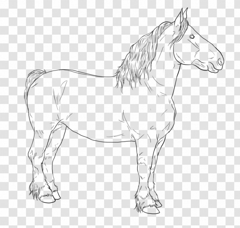Bridle Mane Mustang Stallion Colt - Horse Transparent PNG