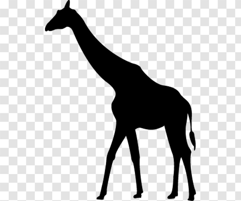 Giraffe Silhouette Clip Art - Mammal Transparent PNG