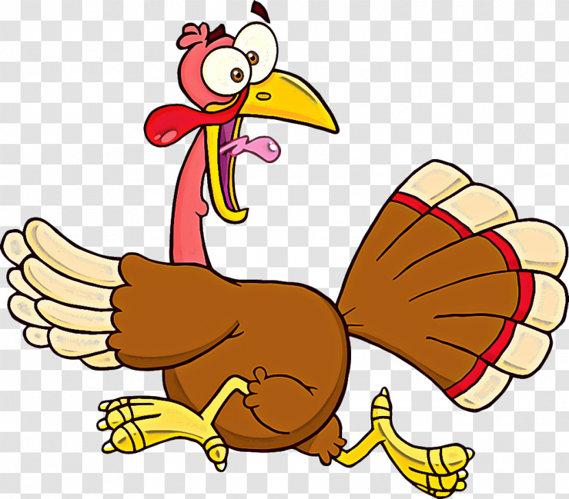 Cartoon Turkey Wing Bird Beak Transparent PNG