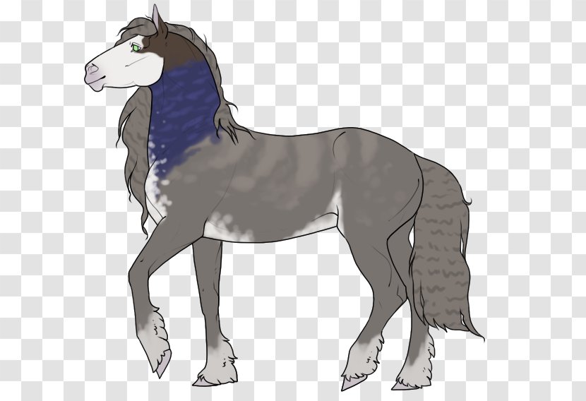 Foal Stallion Mane Colt Pony - Mammal - Mustang Transparent PNG