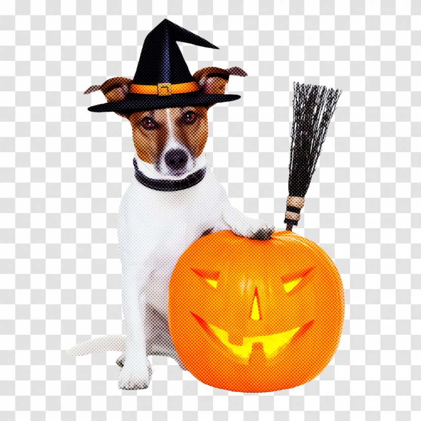 Dog Trick-or-treat Hat Costume Transparent PNG