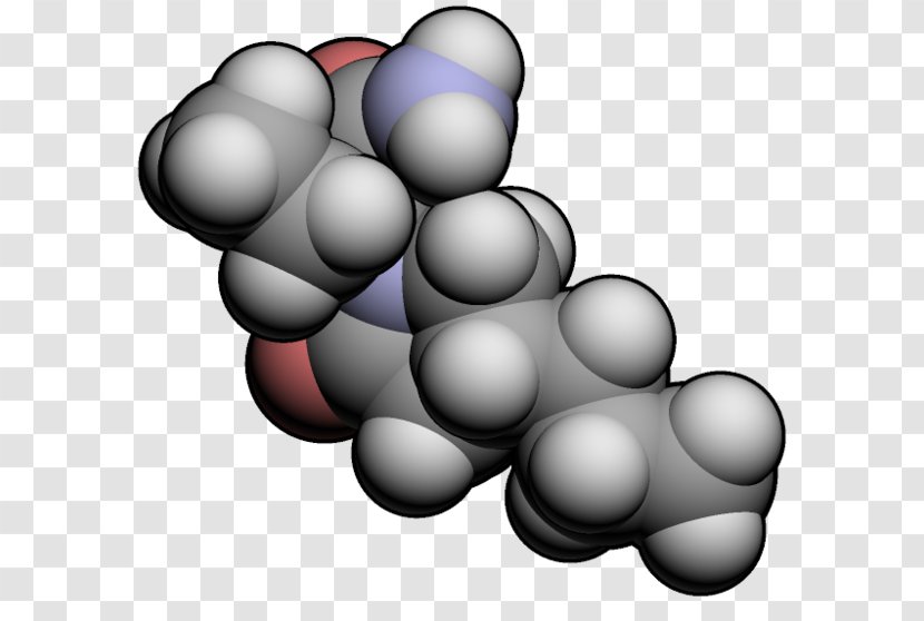 Brivaracetam SV2A Briviact Pharmaceutical Drug UCB - Sphere - Grapevine Family Transparent PNG