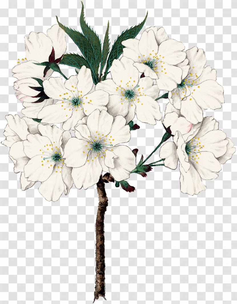 Floral Design Cut Flowers Flower Bouquet Artificial - Spring Transparent PNG