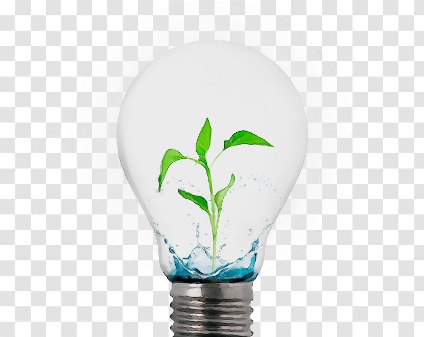 Light Bulb - Plant - Lamp Flower Transparent PNG