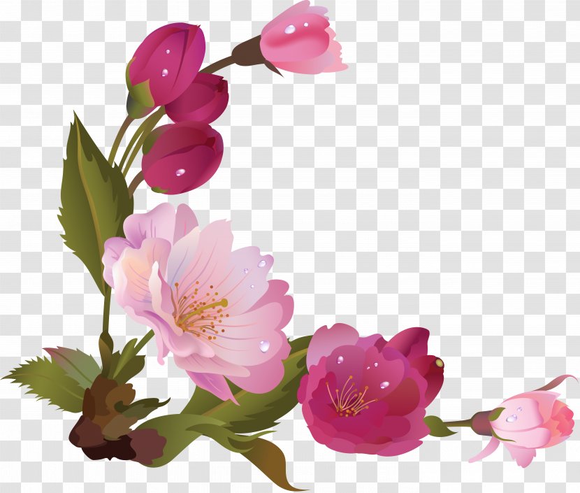 Flower Clip Art - Raster Graphics - Apricot Transparent PNG