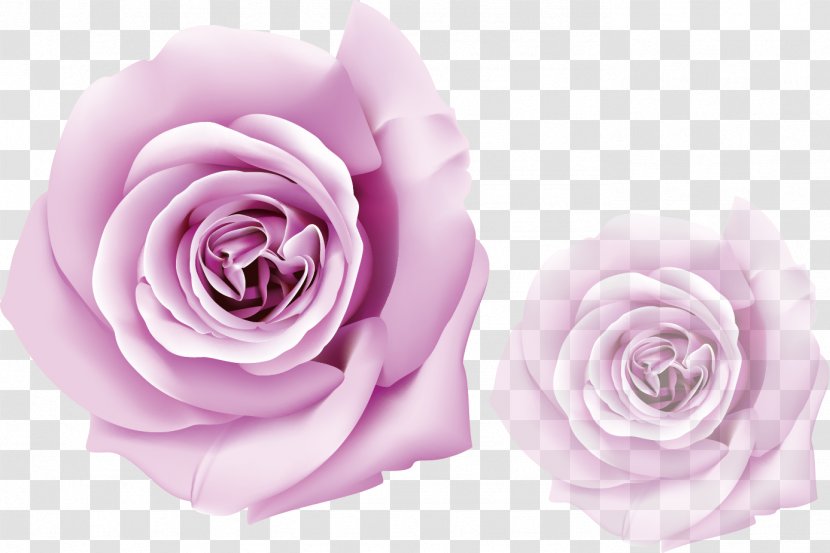 Purple Rose - Mural Art - Floral Design Transparent PNG