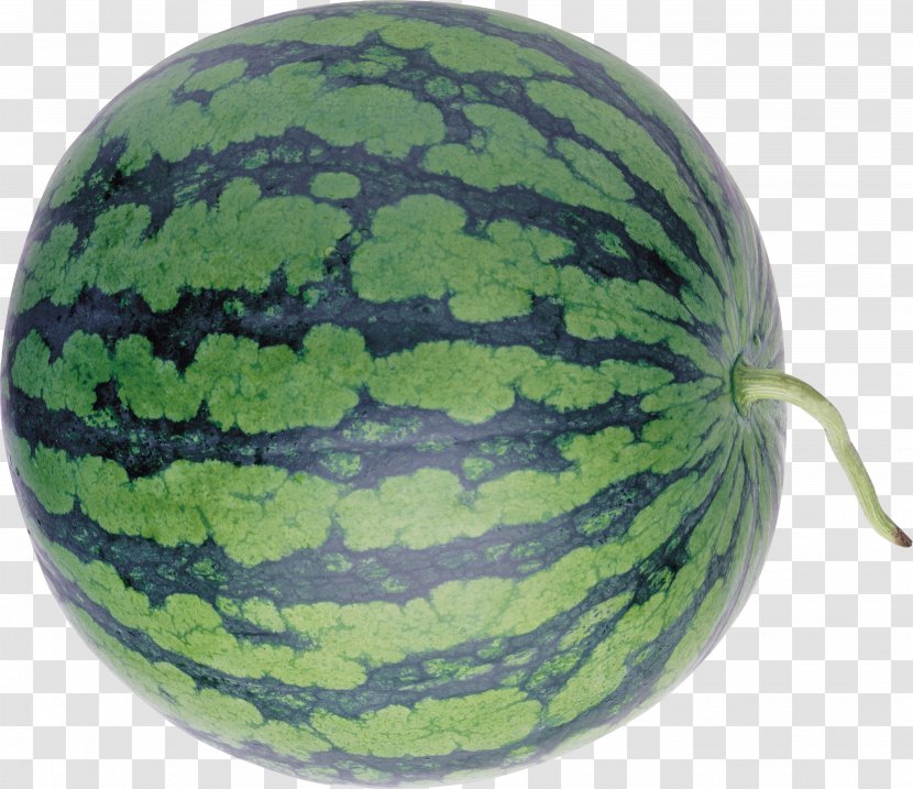 Watermelon Cucurbita Winter Squash Clip Art - Plant Transparent PNG