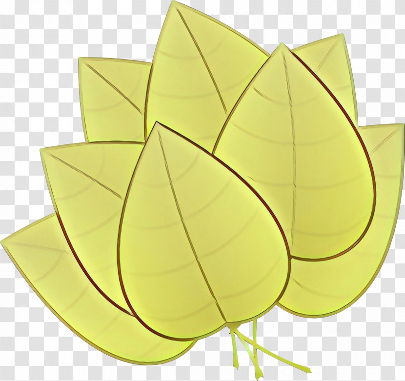 Leaf Drawing - Cartoon - Plant Petal Transparent PNG