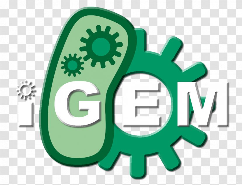 Genetic Engineering Synthetic Biology 2017 International Genetically Engineered Machine Biotechnology - Registry Of Standard Biological Parts - Chinese Team Transparent PNG