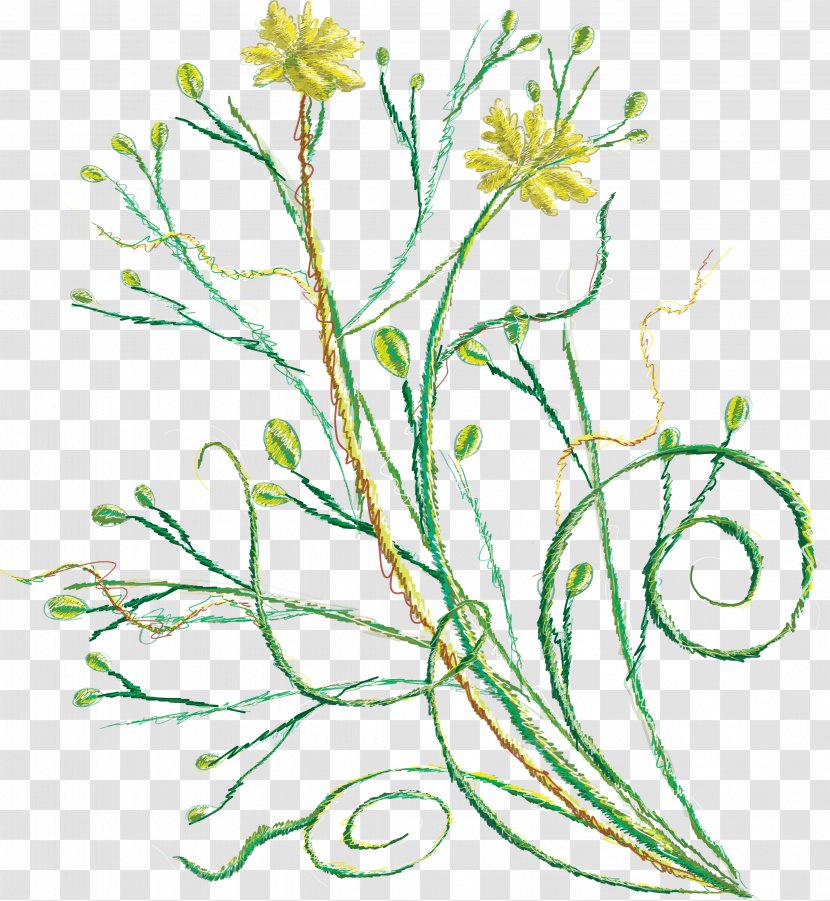 Floral Design Photography Cut Flowers Plant Stem - Vignette - Flower Transparent PNG