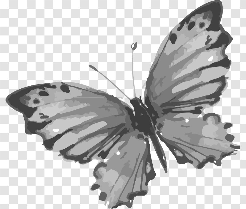 Butterfly Chinoiserie Drawing - Pollinator - Ink China Wind Creative Transparent PNG