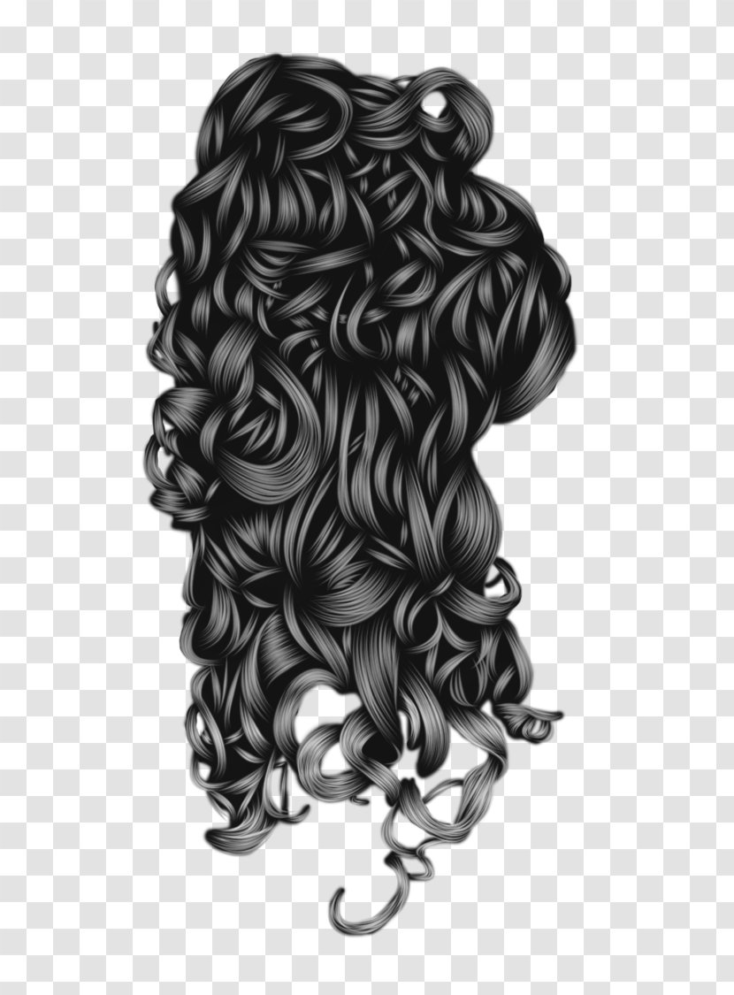 Hairstyle Pattern Hair Loss Cabelo - Human Transparent PNG