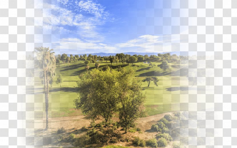 Stock Photography Golf Club Drive - Land Lot - Spring Real Estate Posters Transparent PNG