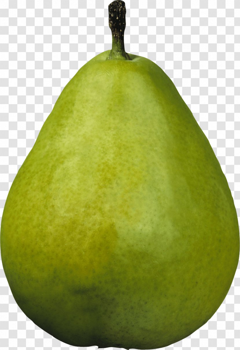 Williams Pear Asian Amygdaloideae - Green Image Transparent PNG