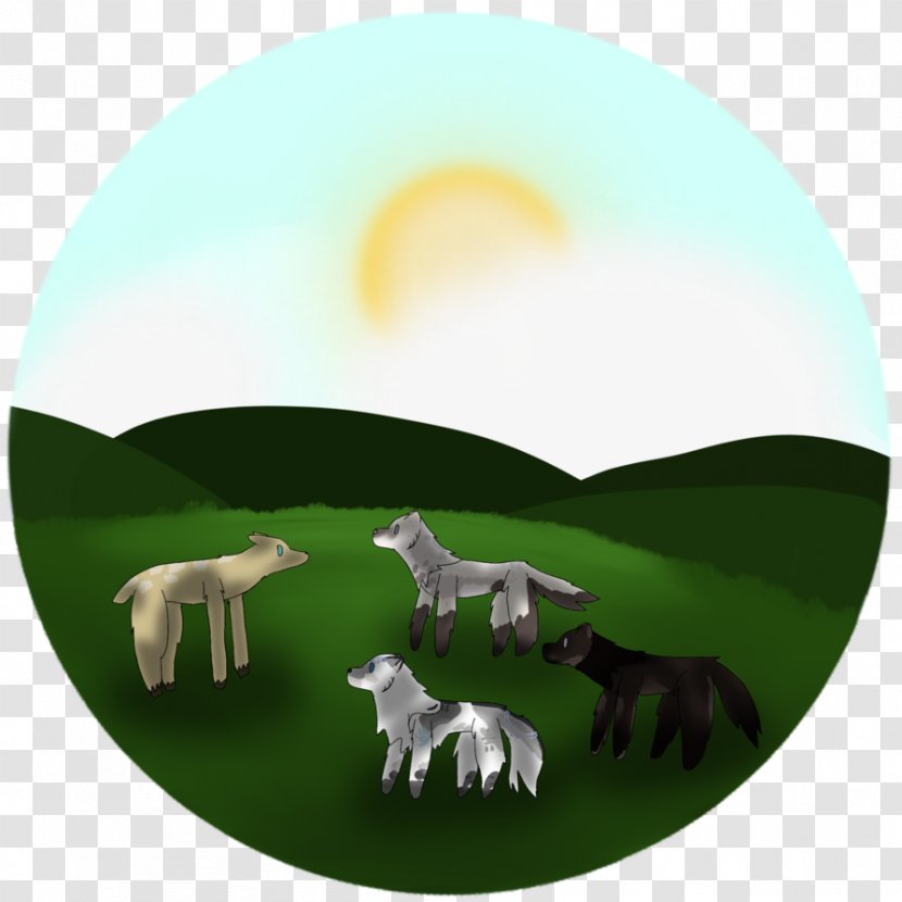 Horse Desktop Wallpaper Computer Mammal - Sky Plc Transparent PNG