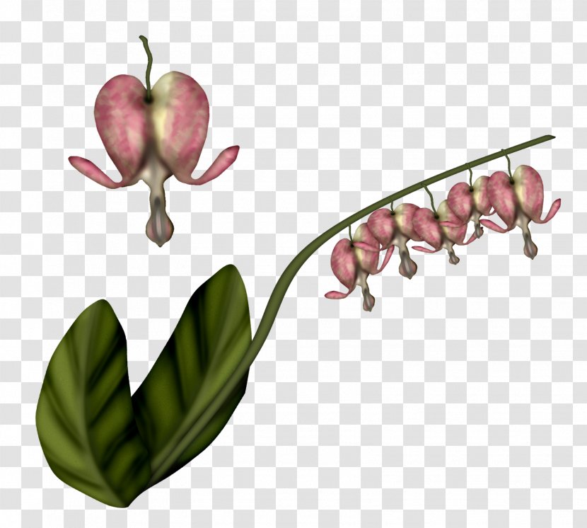Flowering Plant Fruit Adobe Photoshop Stem - Widget - Gof Silhouette Transparent PNG