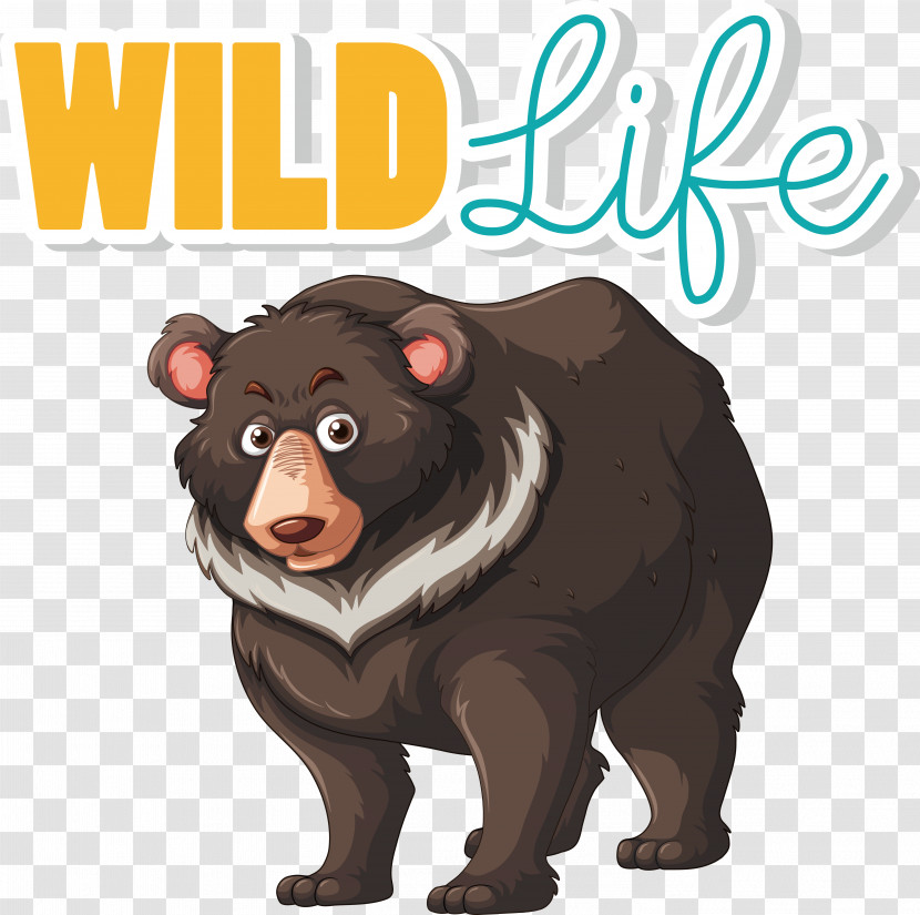Grizzly Bear Bears Drawing Royalty-free Brown Bear Transparent PNG