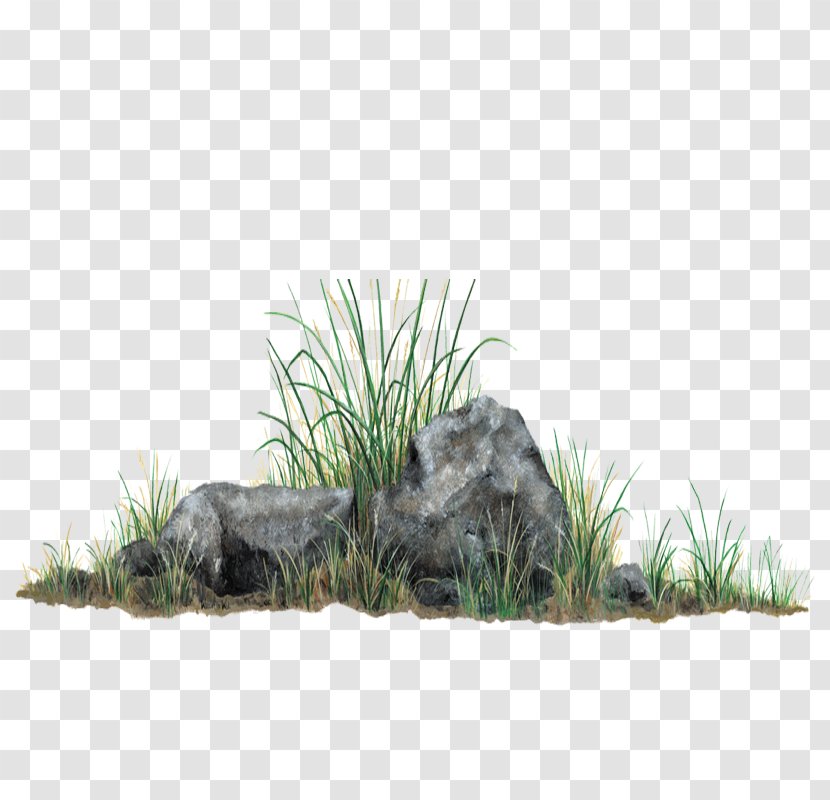 Vegetation Flower - Landscaping - Hill Transparent PNG