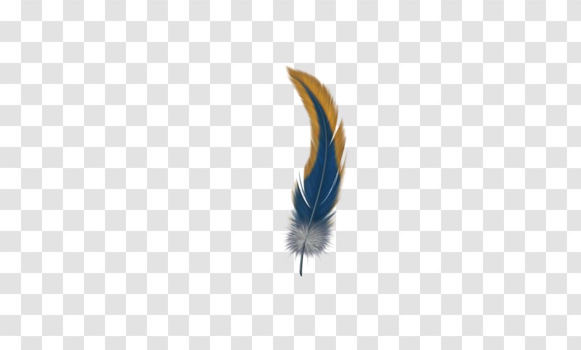 Feather Computer Wallpaper - Wing - Colored Feathers Transparent PNG