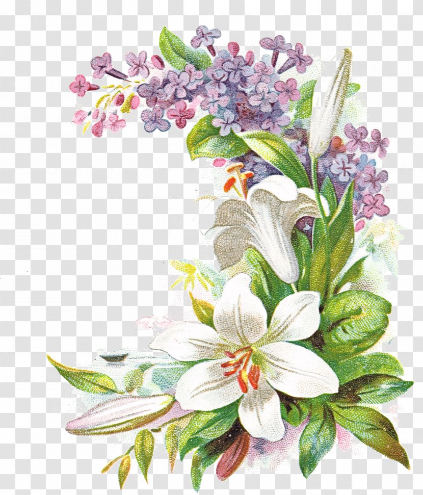 Flower Lilac Plant Flowering Cut Flowers - Blossom Petal Transparent PNG