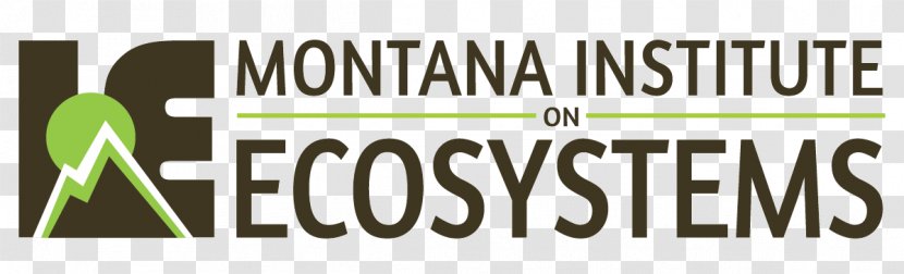 Logo Brand Montana - Institute - Design Transparent PNG