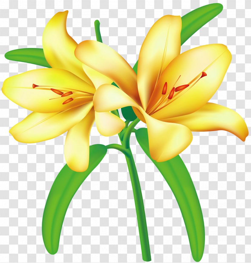 Flower Yellow Clip Art - Flowering Plant - Clipart Transparent PNG