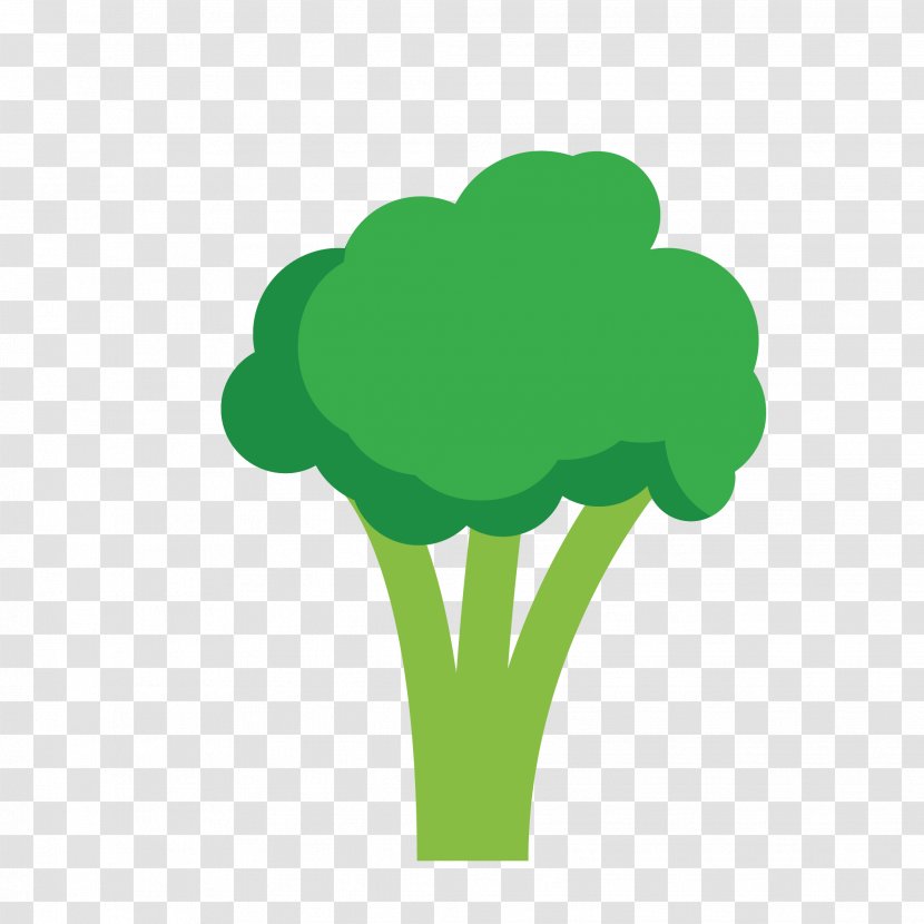 Cauliflower Image Vegetable Vector Graphics Cartoon - Tree - Coliflores Transparent PNG