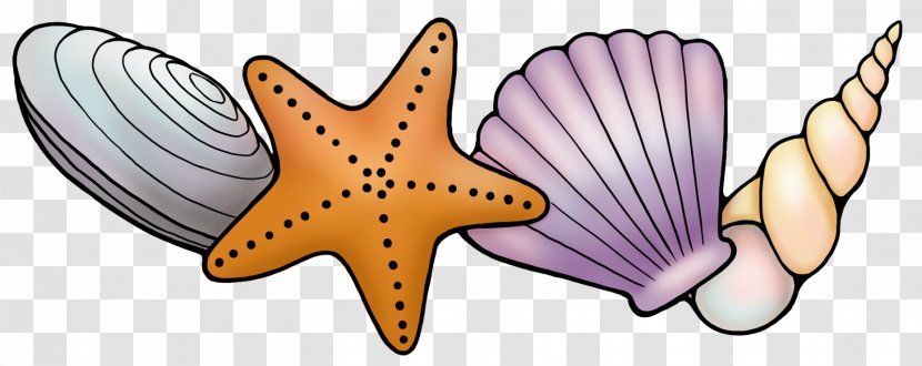 Seashell Starfish Wink Ink Clip Art - Tree Transparent PNG