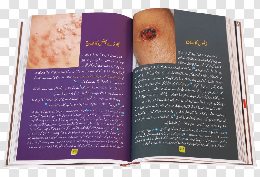 The Prophetic Medicine Book Publishing Tib-e-Nabvi Urdu - Google Scholar Transparent PNG